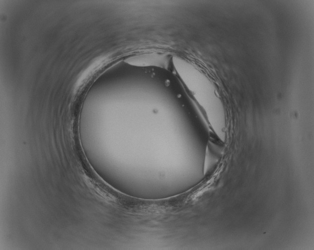 X0000067910197200605041652