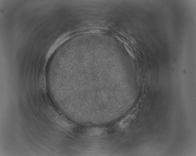 X0000067910198200605041652