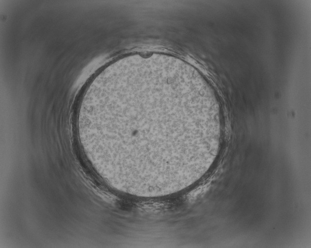 X0000067910199200605041652