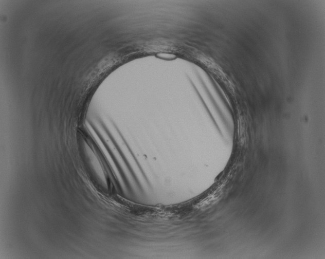 X0000067910201200605041652