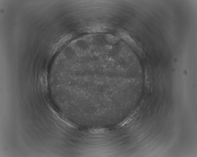 X0000067910202200605041652