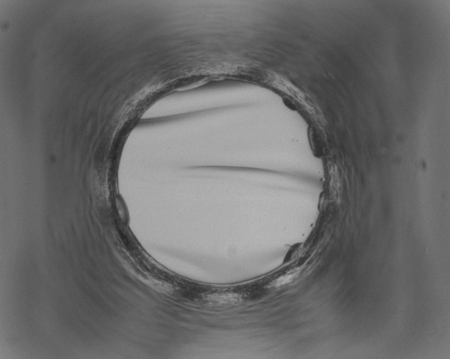 X0000067910203200605041652