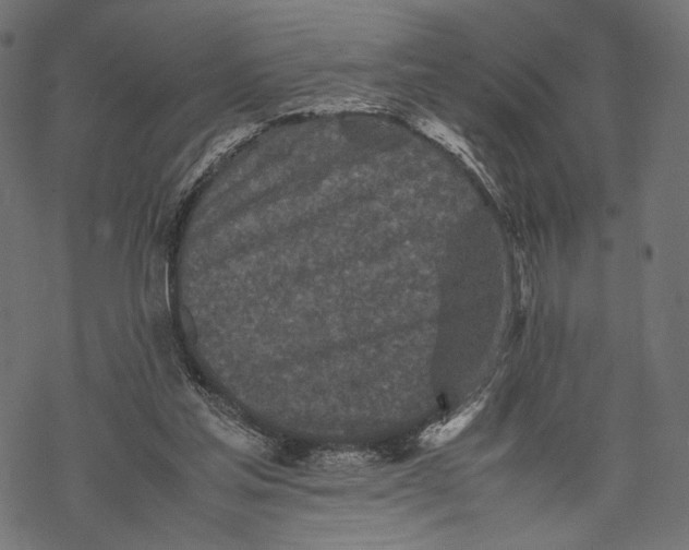 X0000067910205200605041652