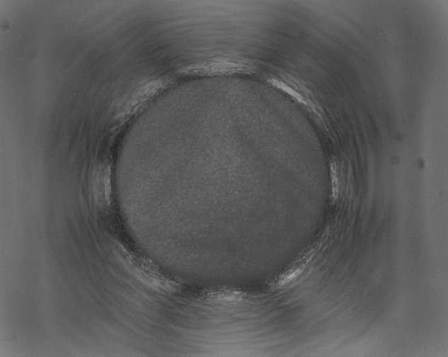 X0000067910206200605041652