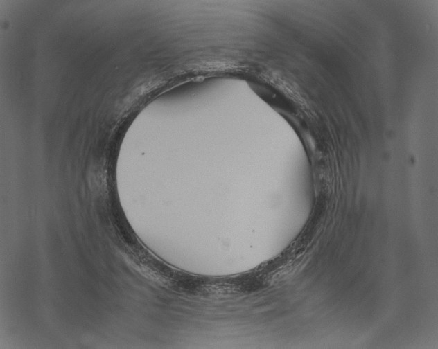 X0000067910207200605041652