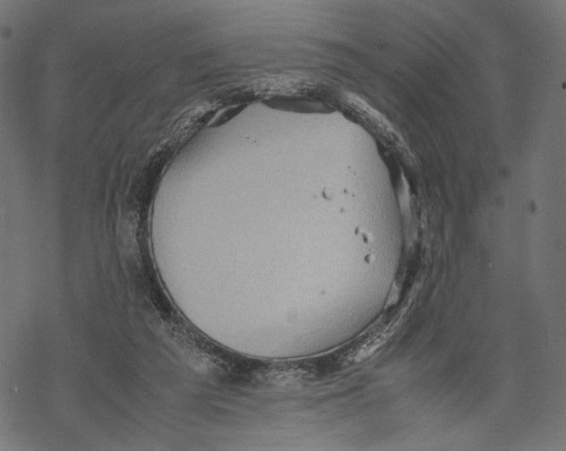 X0000067910209200605041652