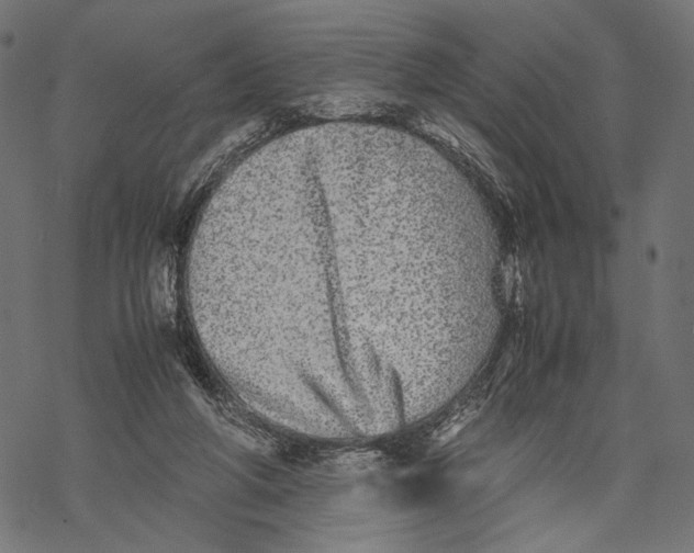 X0000067910210200605041652