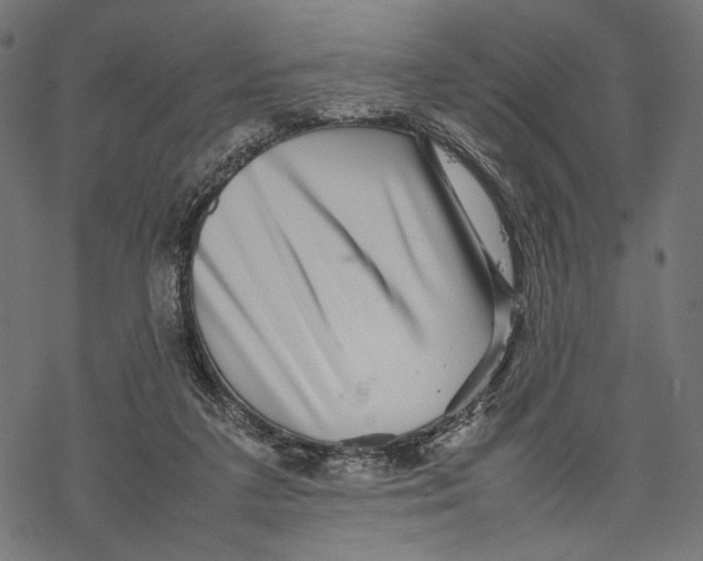 X0000067910211200605041652