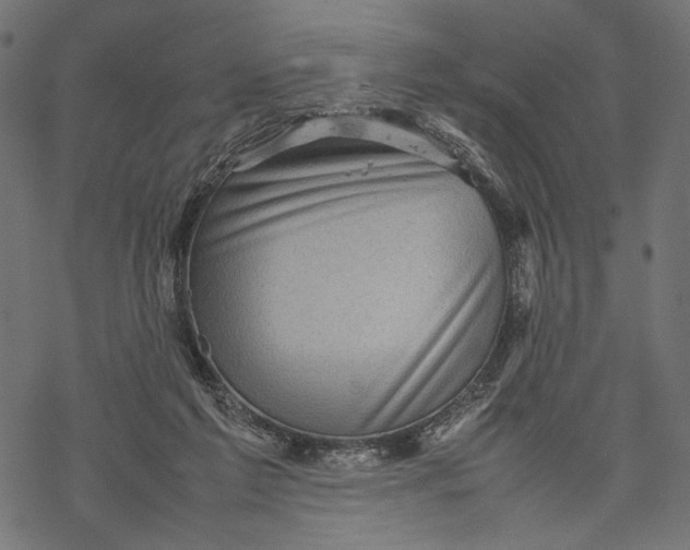 X0000067910213200605041652