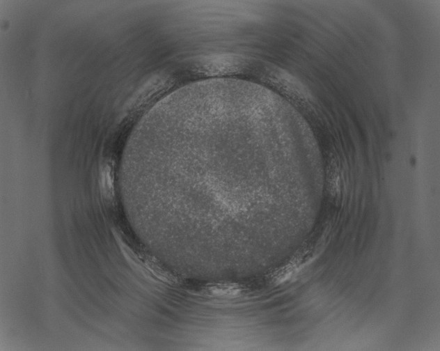 X0000067910214200605041652