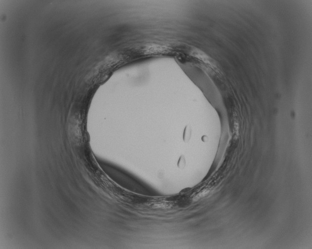 X0000067910215200605041652