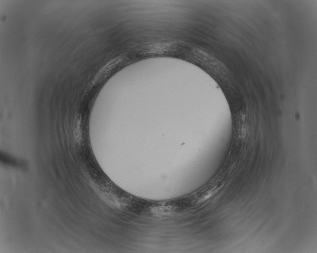 X0000067910216200605041652