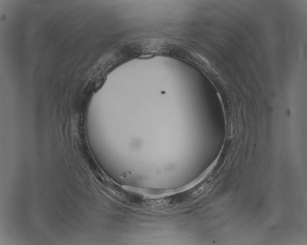 X0000067910217200605041652