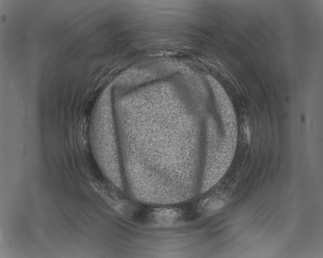 X0000067910218200605041652