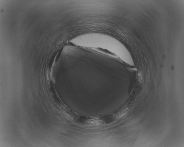 X0000067910219200605041652