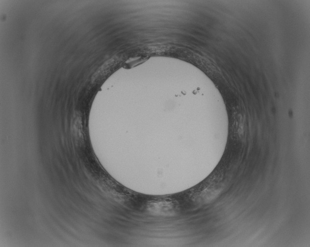 X0000067910220200605041652