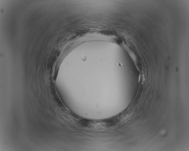 X0000067910221200605041652