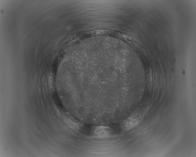 X0000067910222200605041652