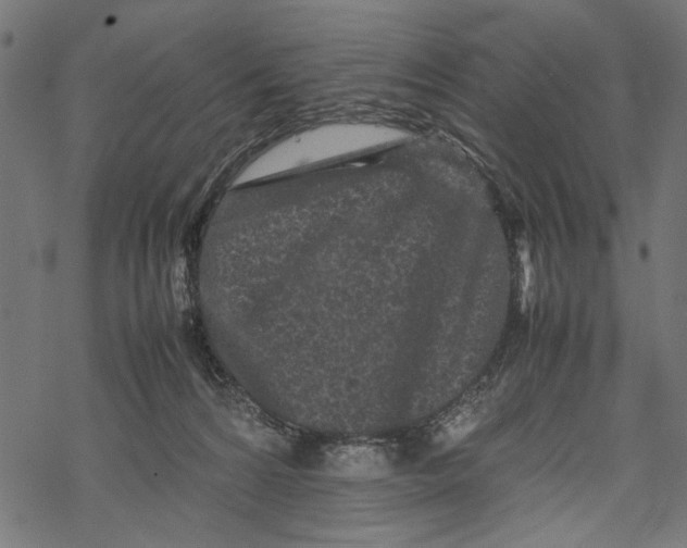 X0000067910224200605041652