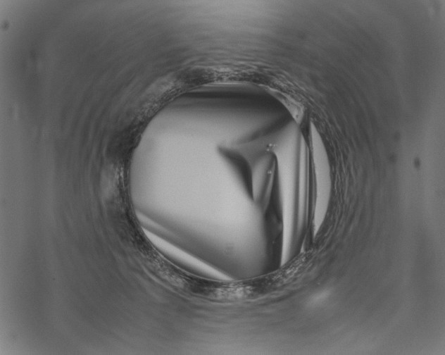 X0000067910225200605041652