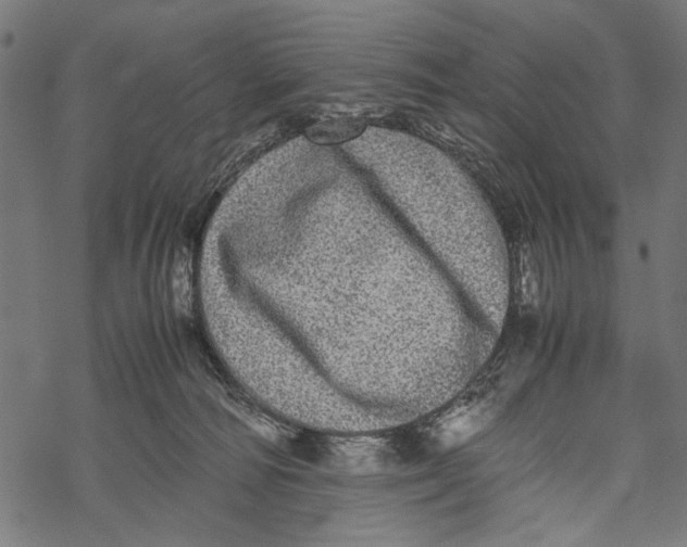 X0000067910226200605041651