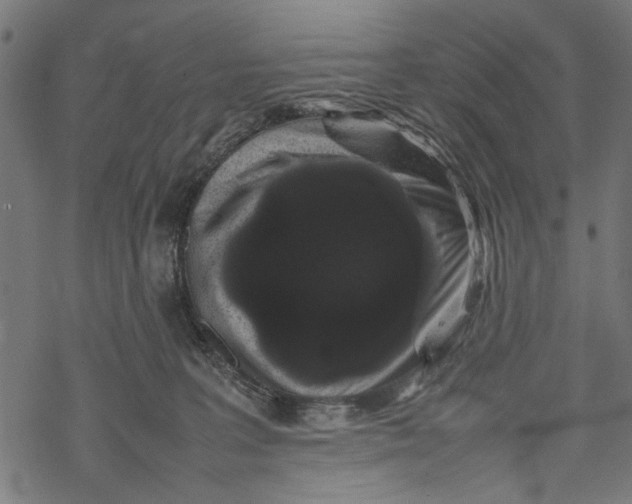 X0000067910227200605041651