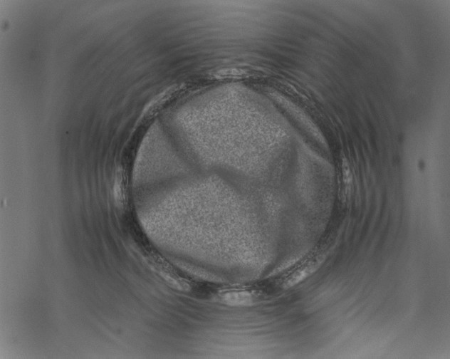 X0000067910228200605041651