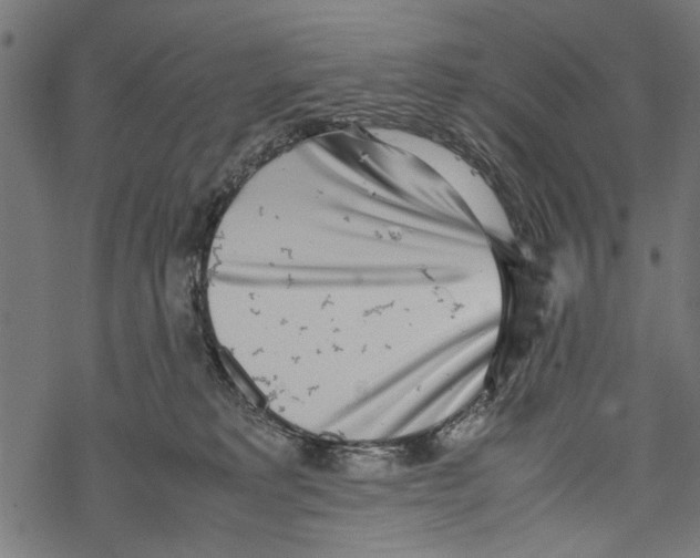 X0000067910229200605041651