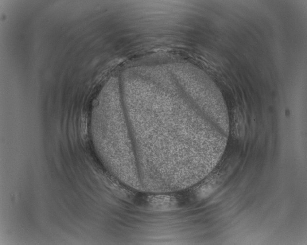 X0000067910230200605041651