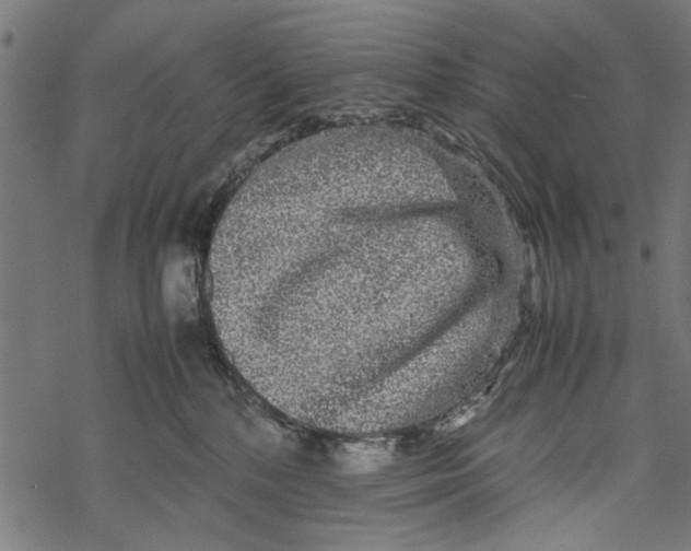 X0000067910232200605041651