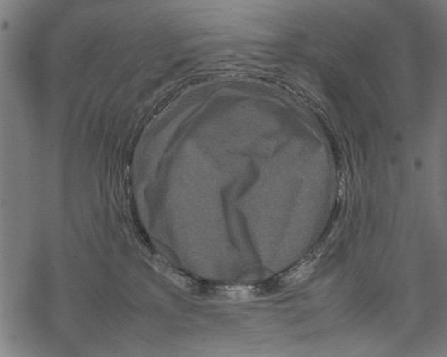 X0000067910233200605041651