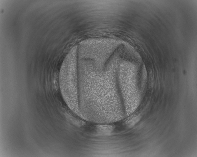 X0000067910234200605041651