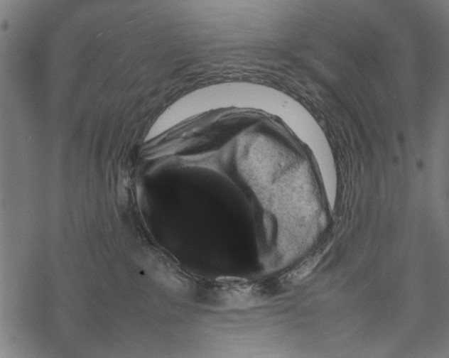 X0000067910235200605041651