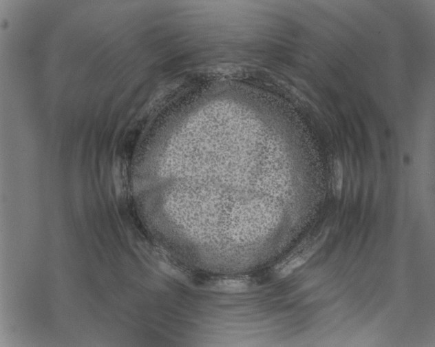 X0000067910236200605041651