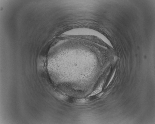 X0000067910237200605041651