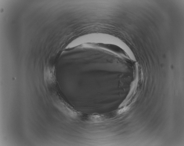 X0000067910239200605041651