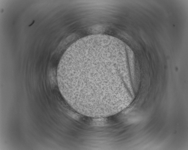 X0000067910240200605041651