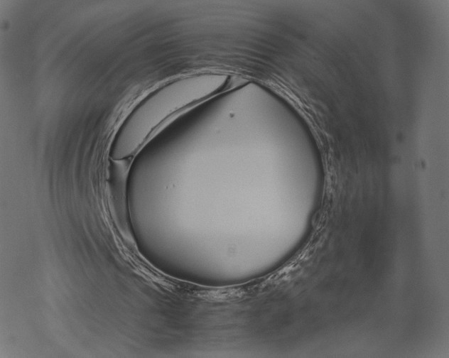 X0000067910241200605041650