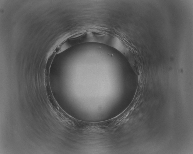 X0000067910244200605041650