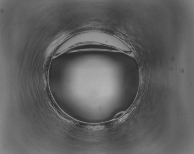 X0000067910245200605041650