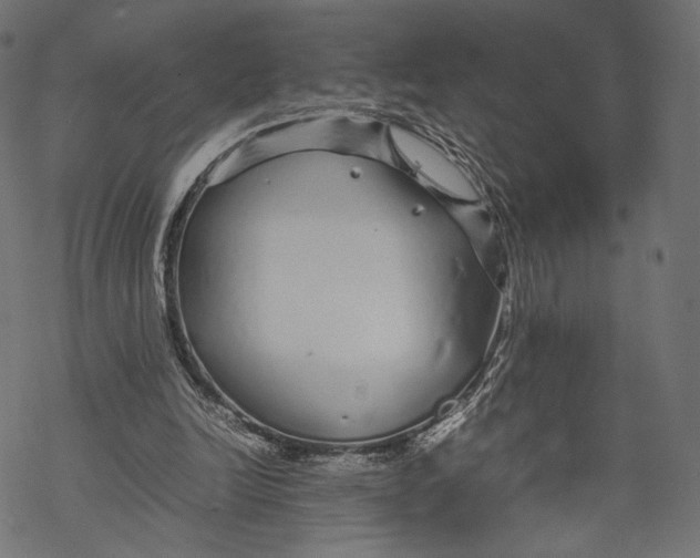 X0000067910246200605041650