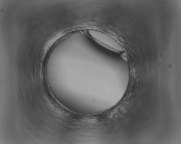 X0000067910248200605041651