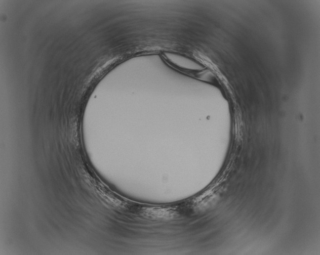 X0000067910249200605041651