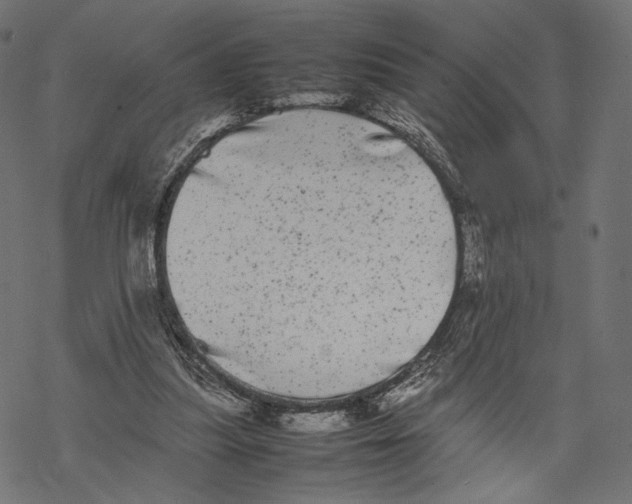 X0000067910251200605041651