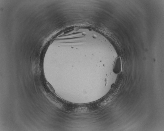 X0000067910252200605041651