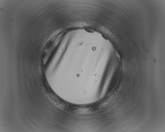 X0000067910256200605041651