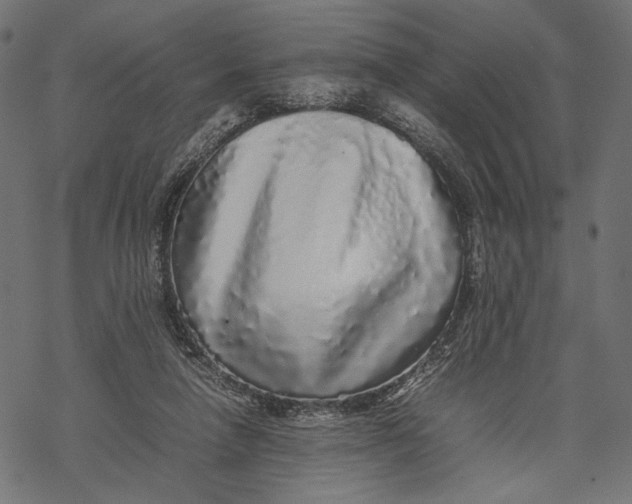 X0000067910258200605041651