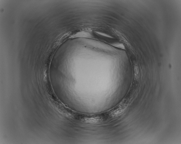 X0000067910259200605041651