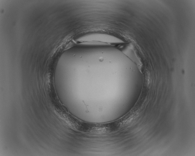 X0000067910260200605041651