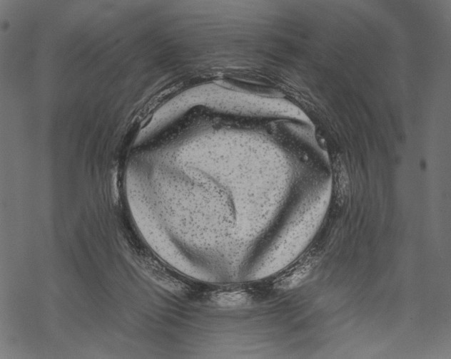 X0000067910262200605041651